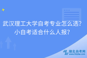 武漢理工大學(xué)自考專業(yè)怎么選？小自考適合什么人報(bào)？