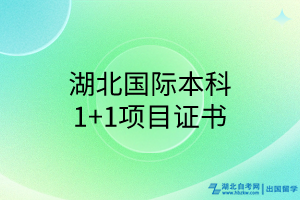 湖北國際本科1+1項目證書