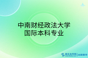 中南財經(jīng)政法大學國際本科專業(yè)