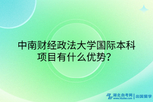 中南財經(jīng)政法大學國際本科項目有什么優(yōu)勢？