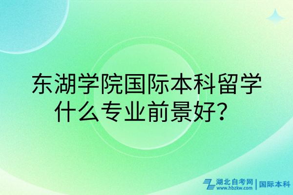 東湖學(xué)院國際本科留學(xué)什么專業(yè)前景好？