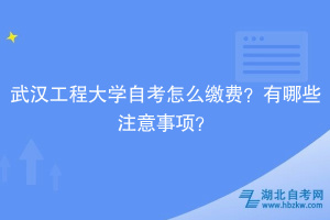 武漢工程大學(xué)自考?怎么繳費(fèi)？有哪些注意事項(xiàng)？