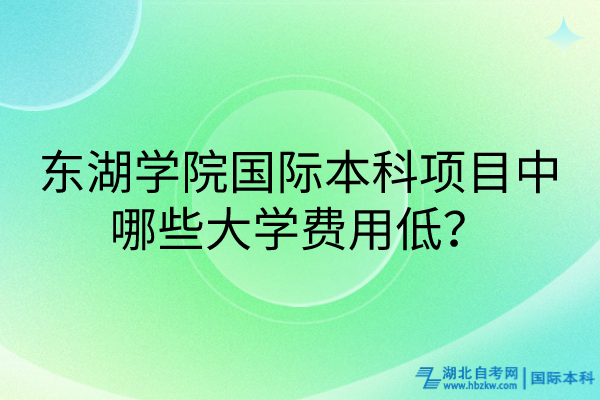 東湖學院國際本科項目中哪些大學費用低？