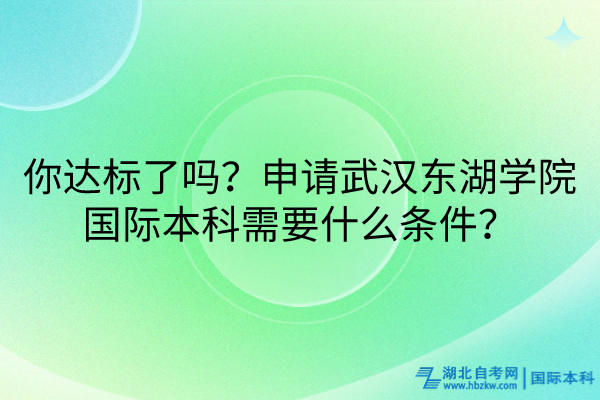 你達(dá)標(biāo)了嗎？申請武漢東湖學(xué)院國際本科需要什么條件？