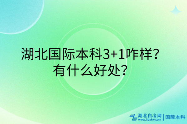 湖北國際本科3+1咋樣？有什么好處？