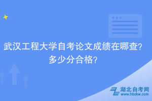武漢工程大學自考論文成績在哪查？多少分合格？