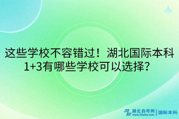 這些學校不容錯過！湖北國際本科1+3有哪些學?？梢赃x擇？