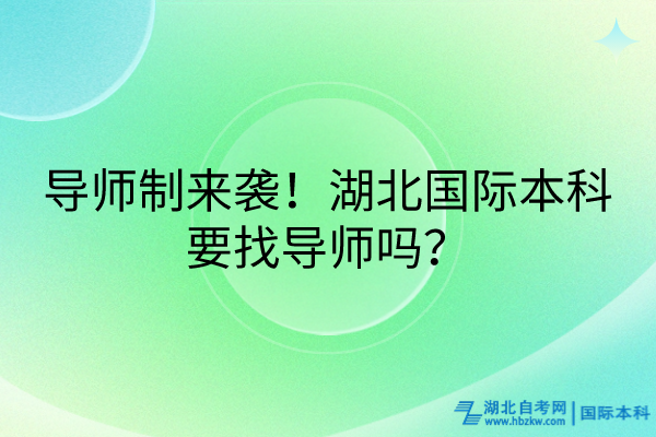 導(dǎo)師制來(lái)襲！湖北國(guó)際本科要找導(dǎo)師嗎？