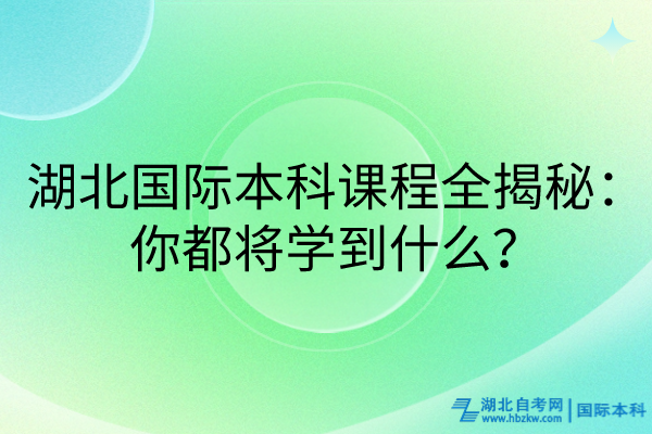 湖北國際本科課程全揭秘：你都將學到什么？