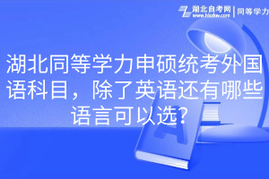 湖北同等學(xué)力申碩統(tǒng)考外國語科目，除了英語還有哪些語言可以選？