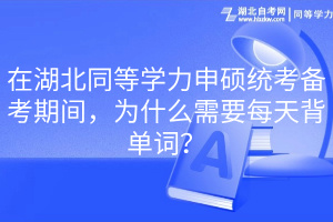 在湖北同等學(xué)力申碩統(tǒng)考備考期間，為什么需要每天背單詞？