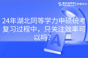 24年湖北同等學(xué)力申碩統(tǒng)考復(fù)習(xí)過程中，只關(guān)注效率可以嗎？