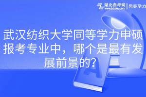 武漢紡織大學(xué)同等學(xué)力申碩報(bào)考專(zhuān)業(yè)中，哪個(gè)是最有發(fā)展前景的？