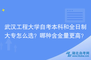 武漢工程大學(xué)自考本科和全日制大專怎么選？哪種含金量更高？