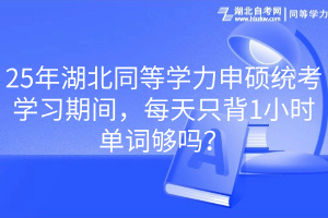 25年湖北同等學(xué)力申碩統(tǒng)考學(xué)習(xí)期間，每天只背1小時單詞夠嗎？