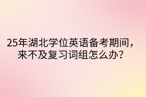 25年湖北學(xué)位英語備考期間，來不及復(fù)習(xí)詞組怎么辦？