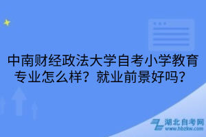 中南財(cái)經(jīng)政法大學(xué)自考小學(xué)教育專業(yè)怎么樣？就業(yè)前景好嗎？