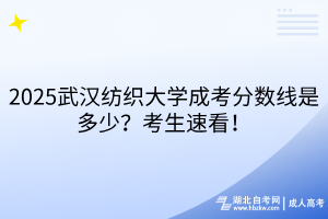 2025武漢紡織大學(xué)成考分?jǐn)?shù)線是多少？考生速看！
