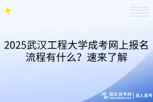 2025武漢工程大學(xué)成考網(wǎng)上報名流程有什么？速來了解