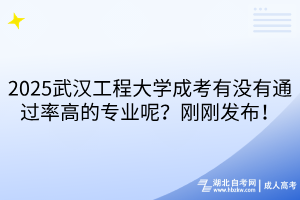 2025武漢工程大學成考有沒有通過率高的專業(yè)呢？剛剛發(fā)布！