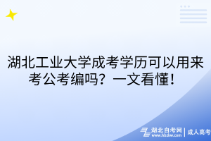 湖北工業(yè)大學成考學歷可以用來考公考編嗎？一文看懂！