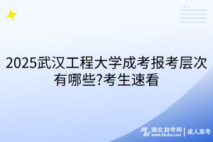 2025武漢工程大學(xué)成考報(bào)考層次有哪些?考生速看