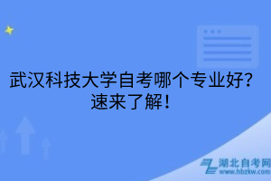 武漢科技大學(xué)自考哪個專業(yè)好？速來了解！