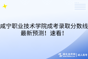 咸寧職業(yè)技術(shù)學院成考錄取分數(shù)線最新預測！速看！