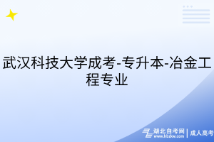 武漢科技大學(xué)成考-專(zhuān)升本-冶金工程專(zhuān)業(yè)