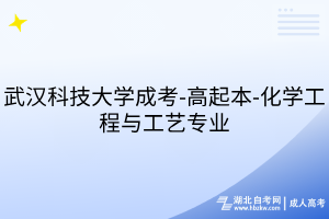 武漢科技大學(xué)成考-高起本-化學(xué)工程與工藝專業(yè)
