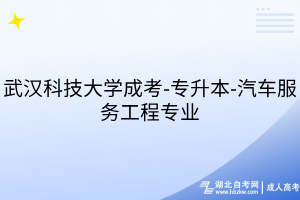 武漢科技大學(xué)成考-專(zhuān)升本-汽車(chē)服務(wù)工程專(zhuān)業(yè)