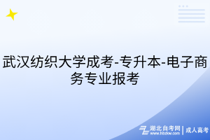 武漢紡織大學(xué)成考-專升本-電子商務(wù)專業(yè)報(bào)考