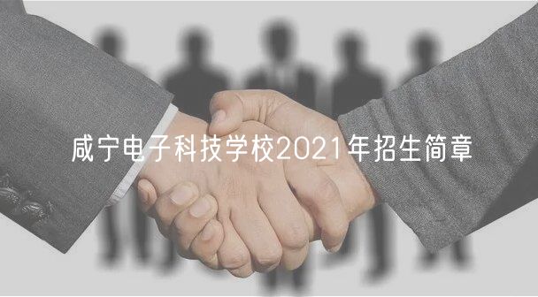 咸寧電子科技學校2021年招生簡章