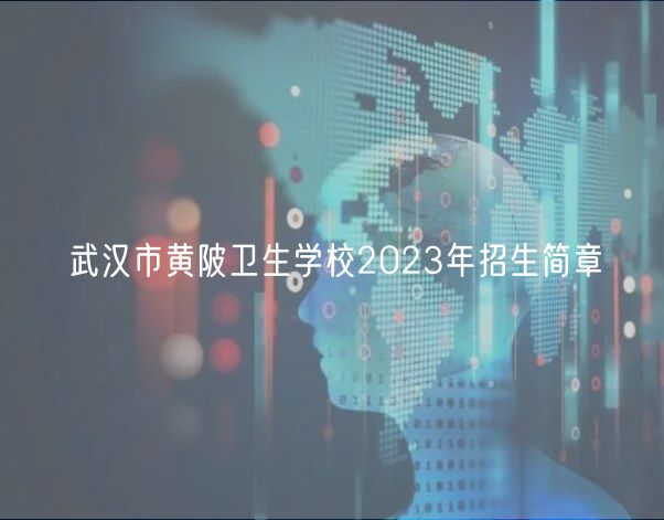 武漢市黃陂衛(wèi)生學校2023年招生簡章