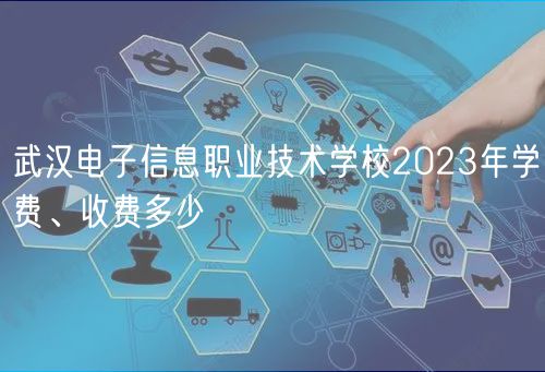 武漢電子信息職業(yè)技術(shù)學(xué)校2023年學(xué)費(fèi)、收費(fèi)多少