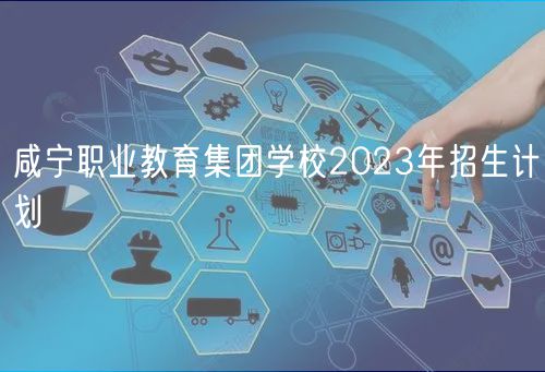 咸寧職業(yè)教育集團學(xué)校2023年招生計劃