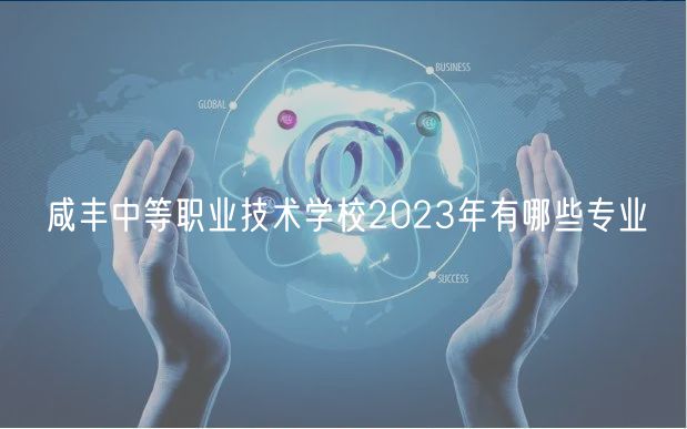 咸豐中等職業(yè)技術(shù)學校2023年有哪些專業(yè)