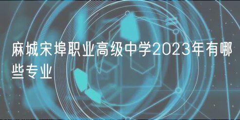 麻城宋埠職業(yè)高級中學2023年有哪些專業(yè)