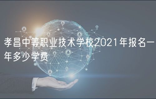 孝昌中等職業(yè)技術(shù)學校2021年報名一年多少學費