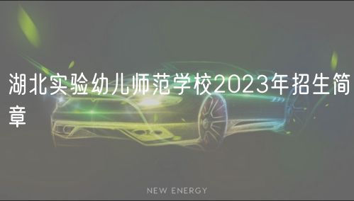 湖北實(shí)驗(yàn)幼兒師范學(xué)校2023年招生簡章