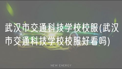 武漢市交通科技學校校服(武漢市交通科技學校校服好看嗎)