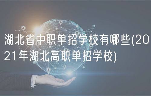 湖北省中職單招學校有哪些(2021年湖北高職單招學校)