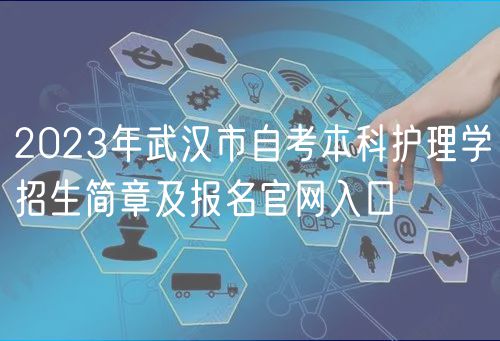 2023年武漢市自考本科護(hù)理學(xué)招生簡(jiǎn)章及報(bào)名官網(wǎng)入口