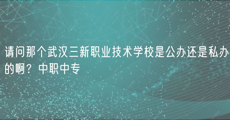 請問那個武漢三新職業(yè)技術(shù)學(xué)校是公辦還是私辦的啊？中職中專