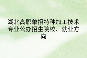 湖北高職單招特種加工技術(shù)專業(yè)公辦招生院校、就業(yè)方向