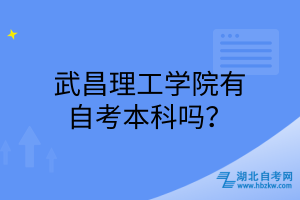 武昌理工學(xué)院有自考本科嗎？