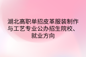 湖北高職單招皮革服裝制作與工藝專業(yè)公辦招生院校、就業(yè)方向