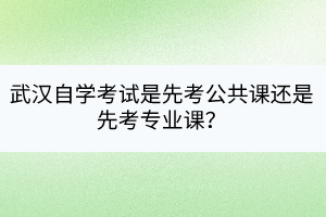 武漢自學(xué)考試是先考公共課還是先考專業(yè)課？