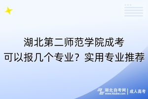 湖北第二師范學(xué)院成考可以報(bào)幾個(gè)專業(yè)？實(shí)用專業(yè)推薦