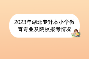 2023年湖北專升本小學(xué)教育專業(yè)及院校報考情況